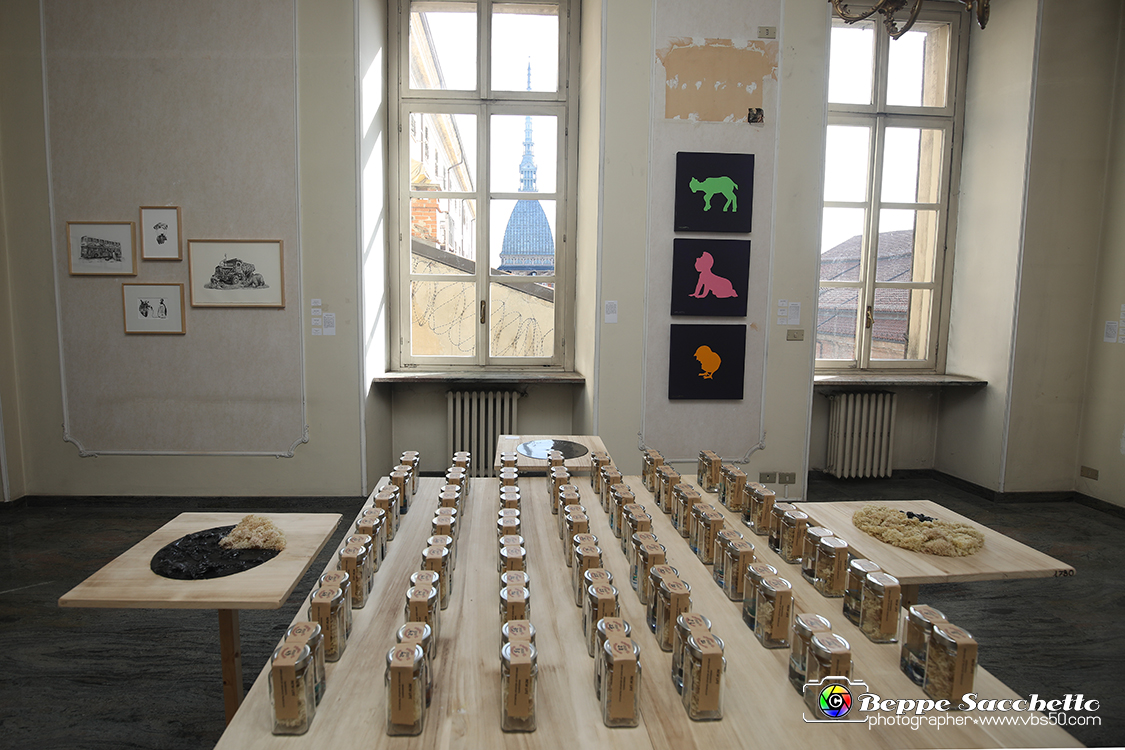 VBS_4066 - Paratissima 2021 - 17.ma Edizione.jpg